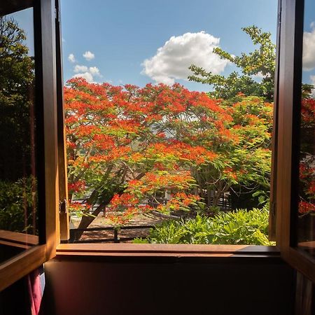Oasis Hotel Spa Гравата Екстер'єр фото