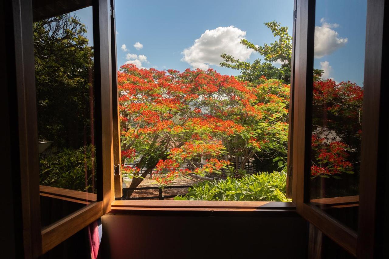 Oasis Hotel Spa Гравата Екстер'єр фото